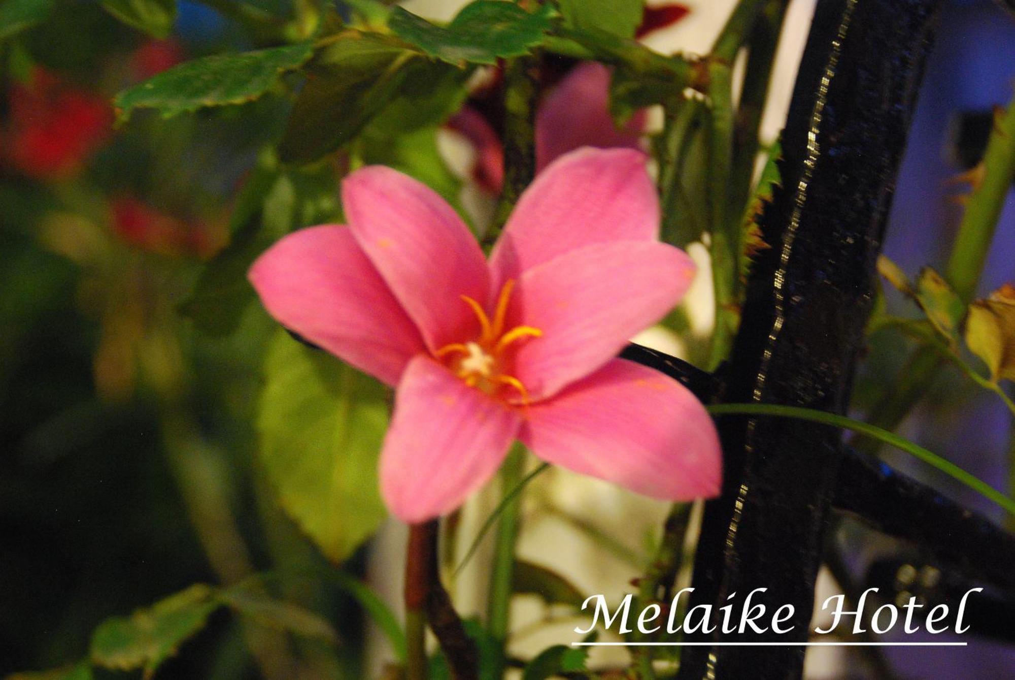 Melaike Hotel Foca Kültér fotó